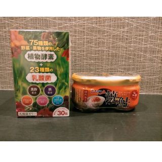 乳酸菌ゼリー  鮭フレークx2  セット(青汁/ケール加工食品)