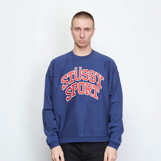 stussy relaxed oversized crew 22aw グレー