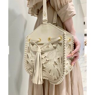 グレースコンチネンタル(GRACE CONTINENTAL)のCutwork mini bag グレースコンチネンタル(ショルダーバッグ)