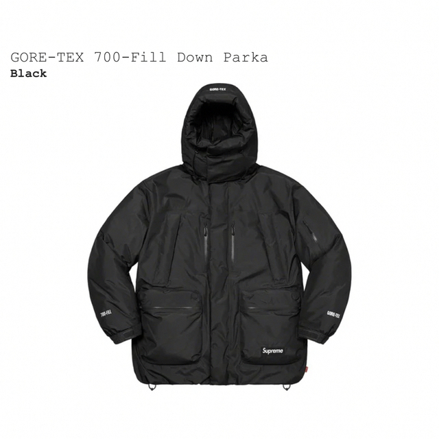 supreme gore-tex 700-fill down parka