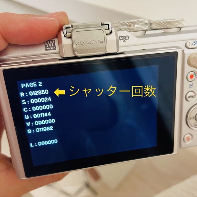 OLYMPUS ミラーレス一眼 E-PL8 セット 2