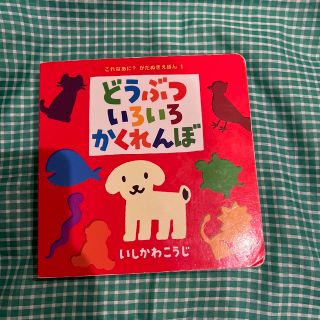 どうぶついろいろかくれんぼ(絵本/児童書)