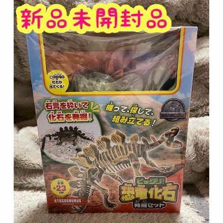ビックリ! 恐竜化石発掘セットの通販 by macaron¨̮♡ |ラクマ