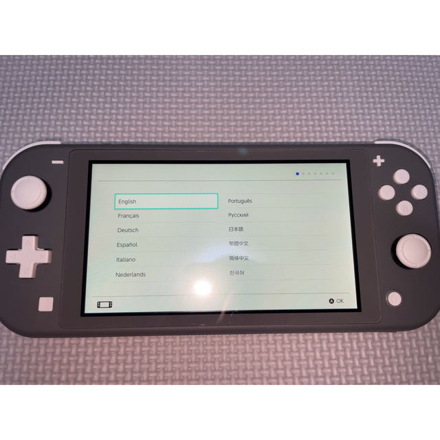 中古 Nintendo Switch Lite GY アダプター無 SDカード付 中古 Nintendo Switch Lite GY アダプター無 SDカード付