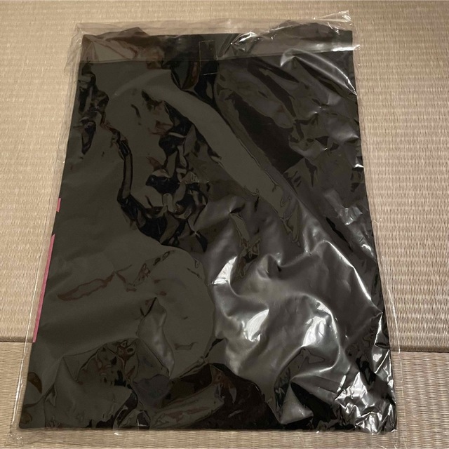 GDC(ジーディーシー)のGDC　Tシャツ メンズのトップス(Tシャツ/カットソー(半袖/袖なし))の商品写真