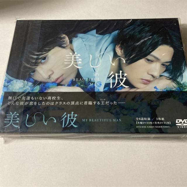 美しい彼 DVD-BOX DVD - TVドラマ