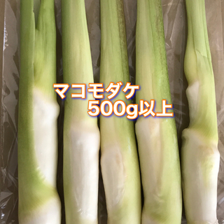 マコモダケ　500g以上(野菜)
