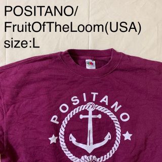 フルーツオブザルーム(FRUIT OF THE LOOM)のPOSITANO/FruitOfTheLoom(USAビンテージスウェットシャツ(スウェット)