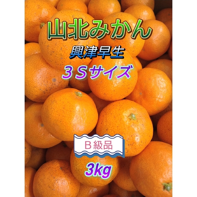 山北みかん★B級品★ 興津早生 3Sサイズ 3㎏ 高知県産 食品/飲料/酒の食品(フルーツ)の商品写真