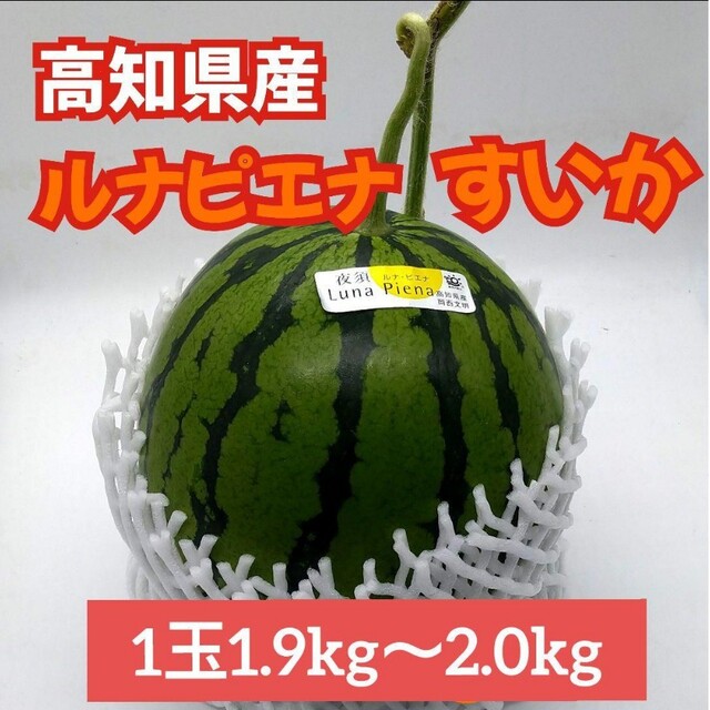 高知県産★冬スイカ とにかく甘い❢サクサク【ルナピエナスイカ】やや小さめ 中玉 食品/飲料/酒の食品(フルーツ)の商品写真