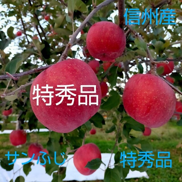やまたか農園's　ふじ　」(特秀品)3㎏以上の通販　by　shop｜ラクマ　信州産　りんご「サン