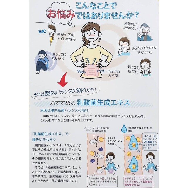 智通10本入り 新品未開封 ! アルベックスの原液タイプ
