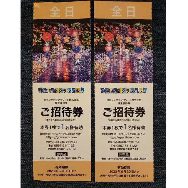 伊豆高原 グランイルミ 全日1名様×2枚 チケットの施設利用券(遊園地/テーマパーク)の商品写真