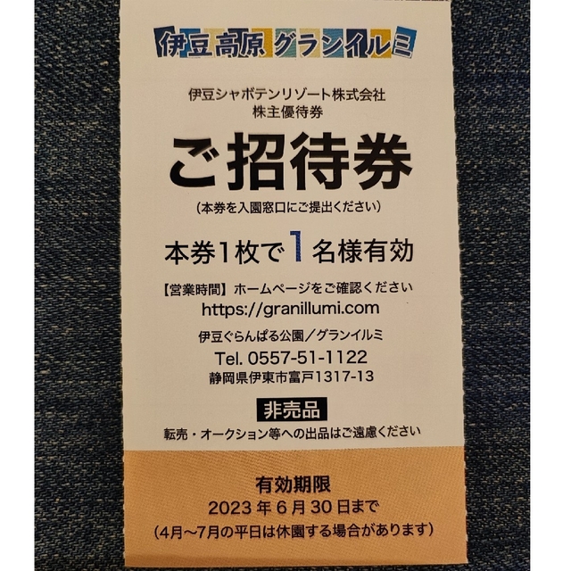 伊豆高原 グランイルミ 全日1名様×2枚 チケットの施設利用券(遊園地/テーマパーク)の商品写真