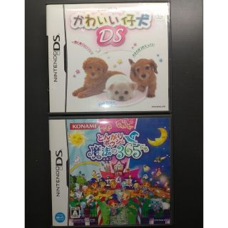 ニンテンドーDS(ニンテンドーDS)のDS かわいい仔犬DSとんがりボウシと魔法の365にち(携帯用ゲームソフト)