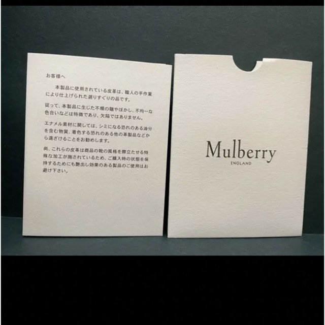 Mulberry(マルベリー)の【マルベリー】緑色のスリッポン レディースの靴/シューズ(スニーカー)の商品写真