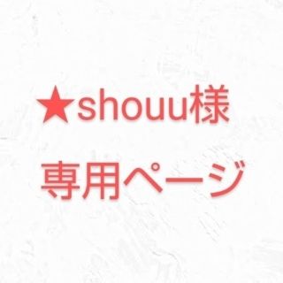 ★shouu様専用ページ(再)(ミニカー)