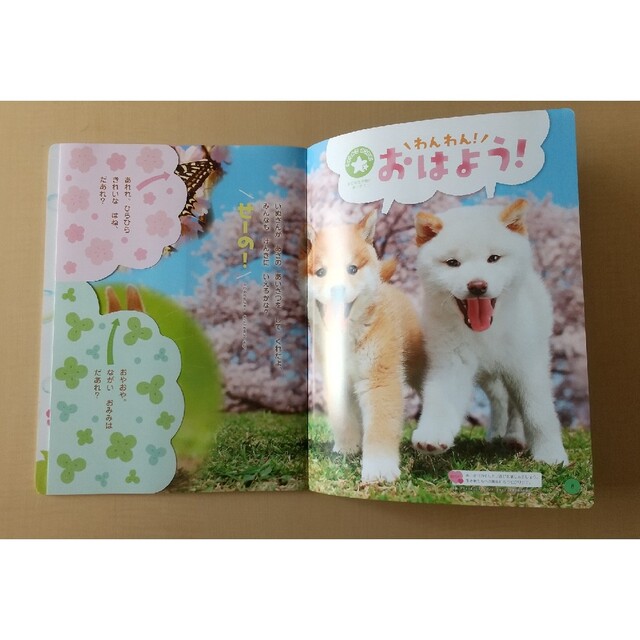 ひかりのくに エンタメ/ホビーの本(絵本/児童書)の商品写真