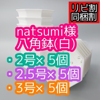 natsumi様 八角鉢(プランター)