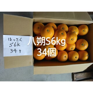 八朔S6kg、広島県産産地直送家庭用無農薬(フルーツ)