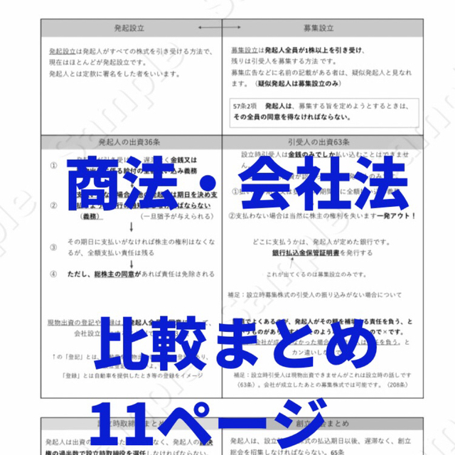 2023行政書士独学サポートchの試験対策資料と重要比較論点集の2点セットです その他のその他(その他)の商品写真