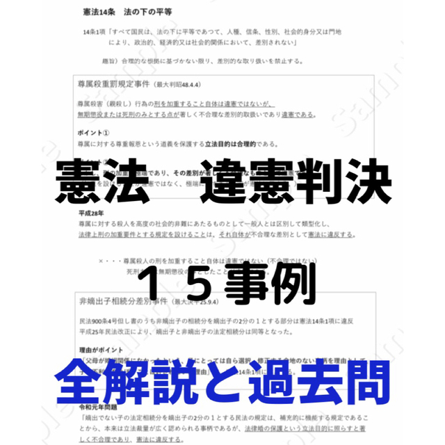 2023行政書士独学サポートchの試験対策資料と重要比較論点集の2点セットです その他のその他(その他)の商品写真