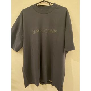 ステューシー(STUSSY)のTシャツ　メンズ　CARPE OMNIA カルペオムニア(Tシャツ/カットソー(半袖/袖なし))