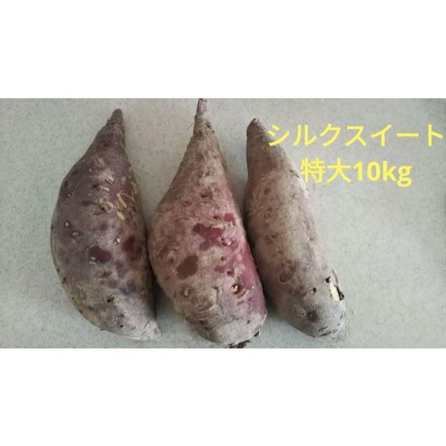 香川県産 さつまいも シルクスイート 特大 10kg 無農薬 食品/飲料/酒の食品(野菜)の商品写真