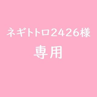 ★ネギトトロ2426様　専用★(魚介)