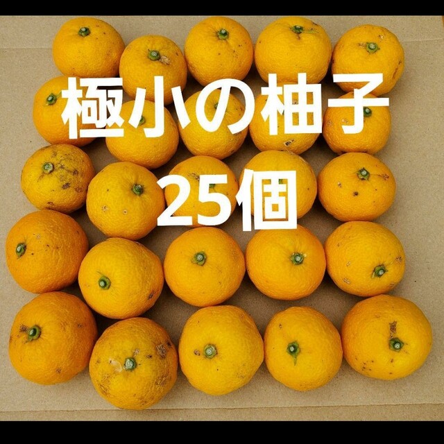 柚子 極小 25個 | フリマアプリ ラクマ
