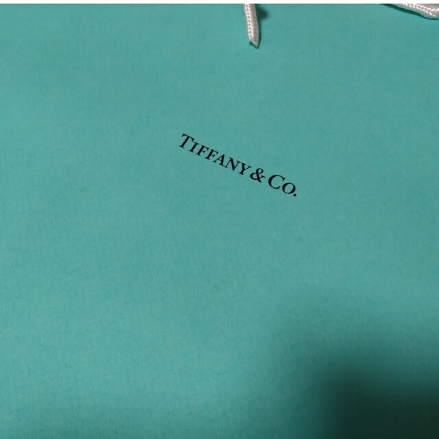 Tiffany & Co.(ティファニー)のTiffany ショップ袋　ショッパー　10枚【未使用、新品】 レディースのファッション小物(その他)の商品写真