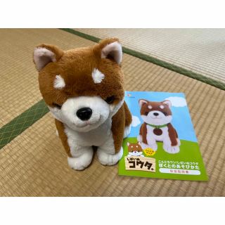 こんにちワン！しばいぬコウタ 柴犬　おしゃべり　音声認識ぬいぐるみ(ぬいぐるみ)