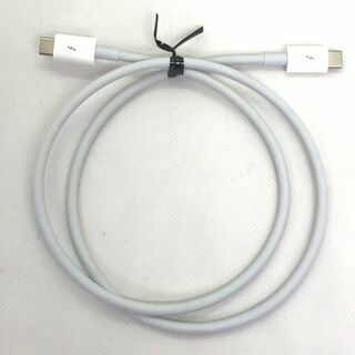 アップル(Apple)のApple Thunderbolt 3（USB-C） ケーブル  0.8 m(ケーブル)