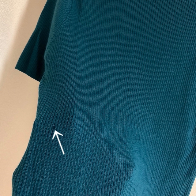 NOLLEY'S(ノーリーズ)の緑　トップス　カットソー　セーター　ハイネック　インナー　ウール　冬　半袖 レディースのトップス(ニット/セーター)の商品写真