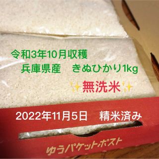 白米　兵庫県産　きぬひかり　1kg(米/穀物)