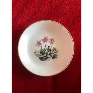 ロイヤルウースター(Royal Worcester)のロイアルウースター　ヴァイオレット　小皿(食器)