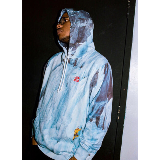 Supreme/TNF Ice Climb Hooded Sweatshirt