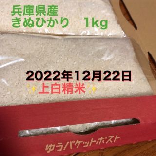 白米　兵庫県産　きぬひかり　1kg(米/穀物)