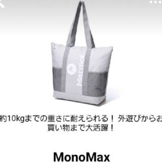 マーモット(MARMOT)のモノマックス5月号付録　marmot保冷 保温トートバッグ(トートバッグ)