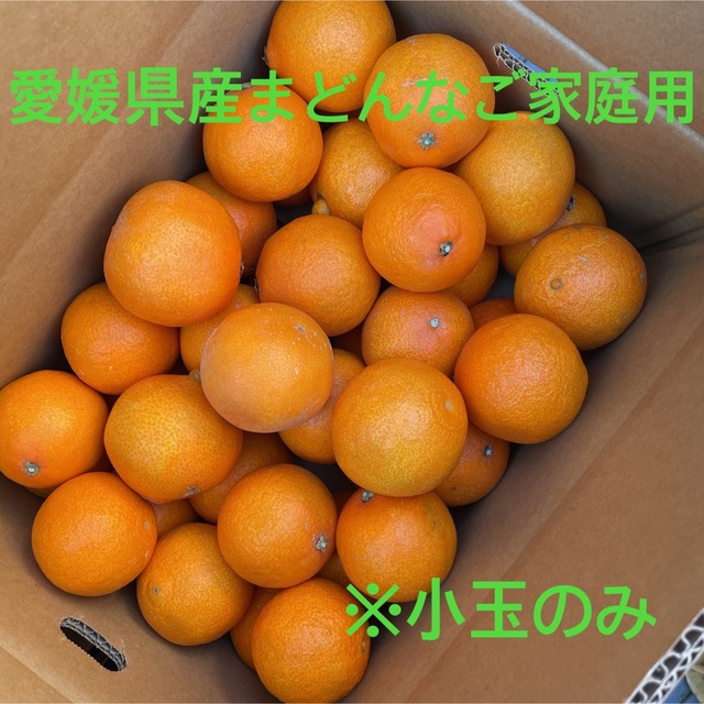 不知火 優良品 小玉MIX5kg デコポン