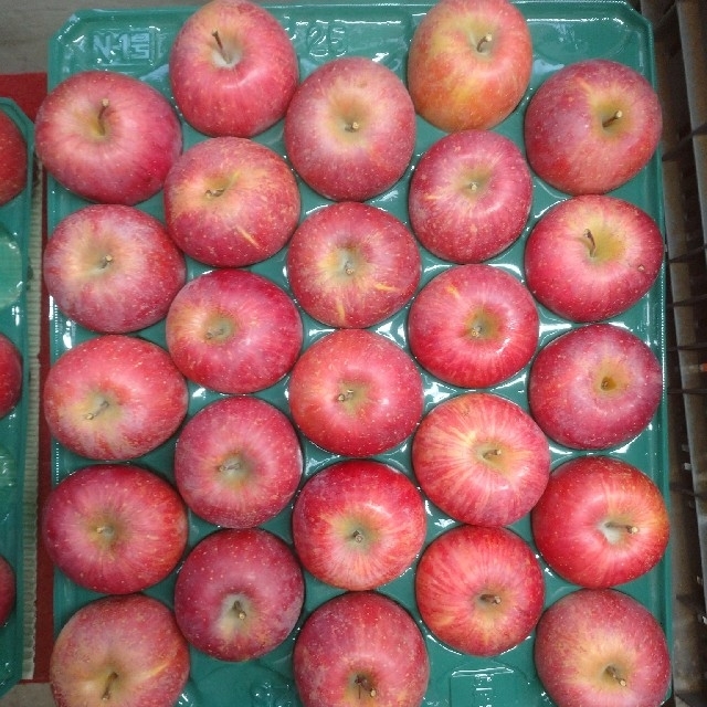 S-5 サンふじ小玉10kg 長野県産りんご 食品/飲料/酒の食品(フルーツ)の商品写真