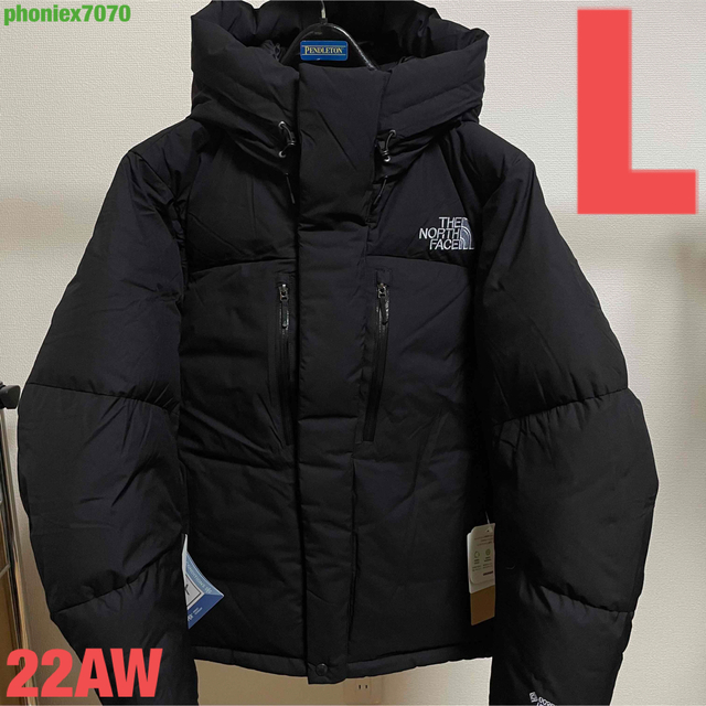 2022年製 新品】 THE NORTH FACE - 22AW 新品未着用【Lサイズ