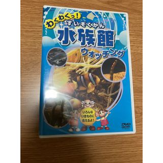 わくわくっ！ 水族館ウォッチング DVD いきもの キッズ こども すいぞくかん(キッズ/ファミリー)