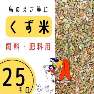 くず米 25kg 青米 小米 肥料 鳥の餌 飼料米 玄米 安い 小動物 にわとり(米/穀物)