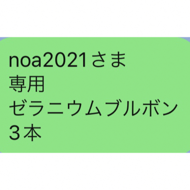 noa2021さま 専用 ゼラニウムブルボン 3本