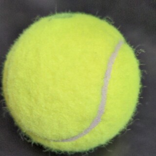 テニスボール1個 &　ユーカリの葉(ドライフラワー)