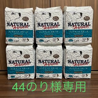 44のり様専用(犬)