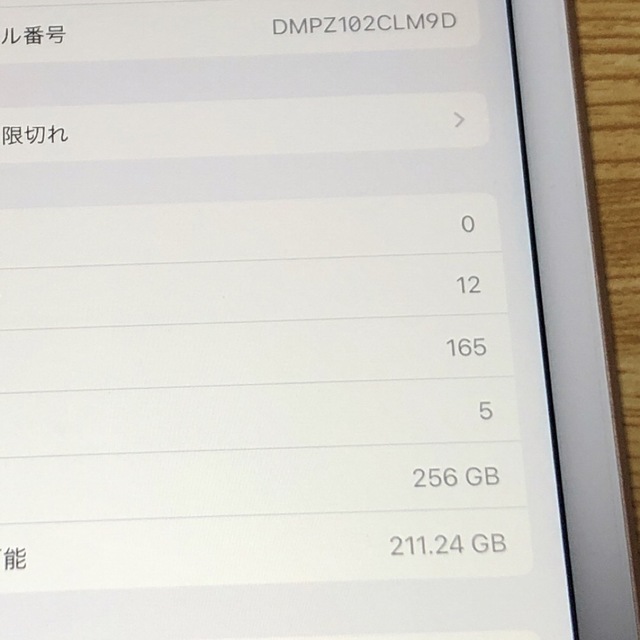 iPad mini 5世代 Wi-Fi 256GB ゴールド 2