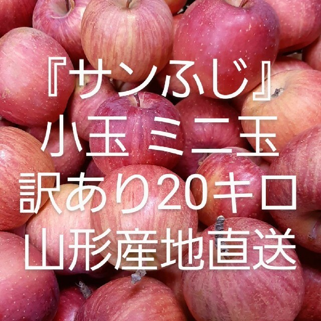 年末セール！山形直送 訳ありりんご『サンふじ』小玉ミニ玉20キロ 減農薬栽培