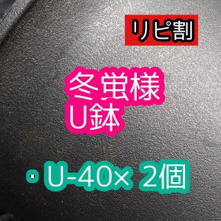 冬蛍様 U鉢(その他)